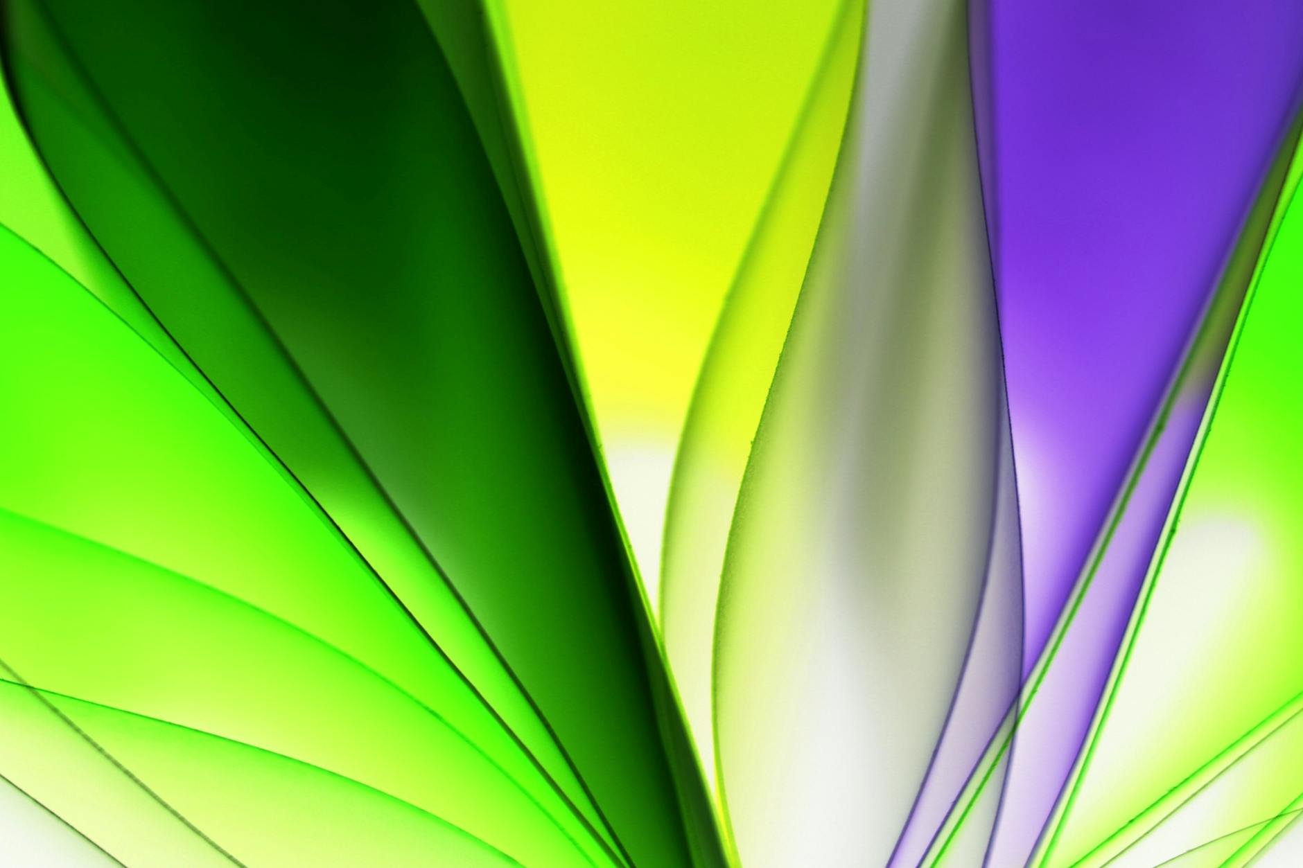 Vibrantly colored abstract design featuring flowing green and purple shapes creating a dynamic visual effect.