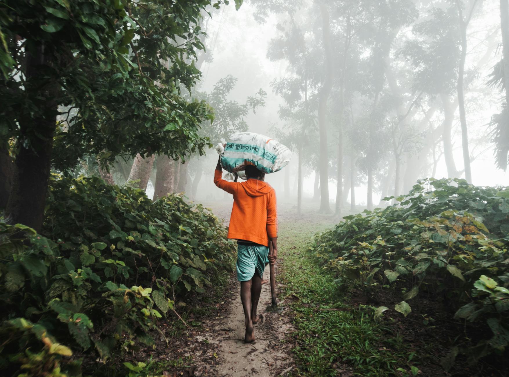 A man walks through a misty forest in Bangladesh, carrying a bag on his head, surrounded by lush greenery.
