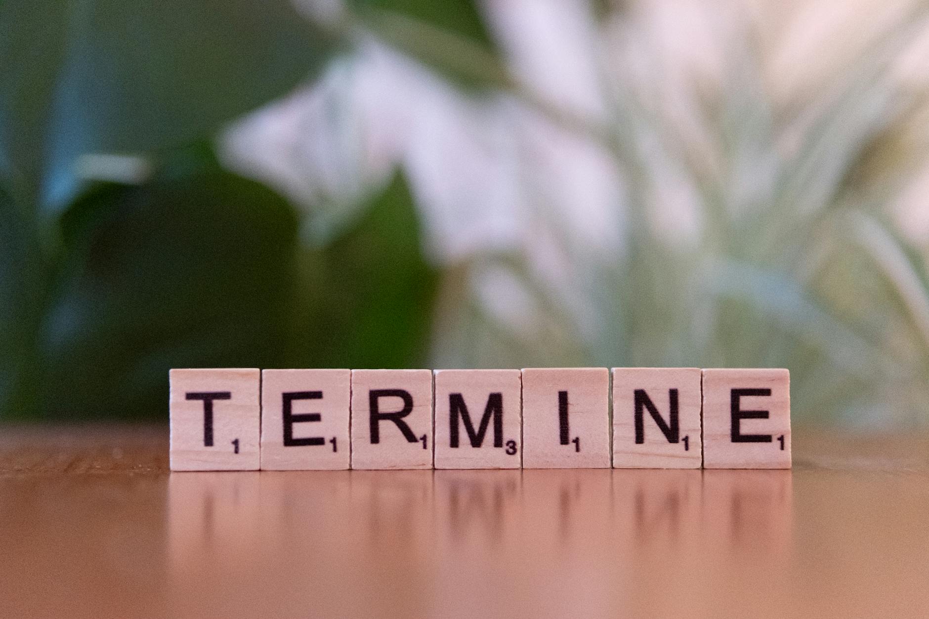 Close-up of Scrabble tiles spelling 'TERMINE'.