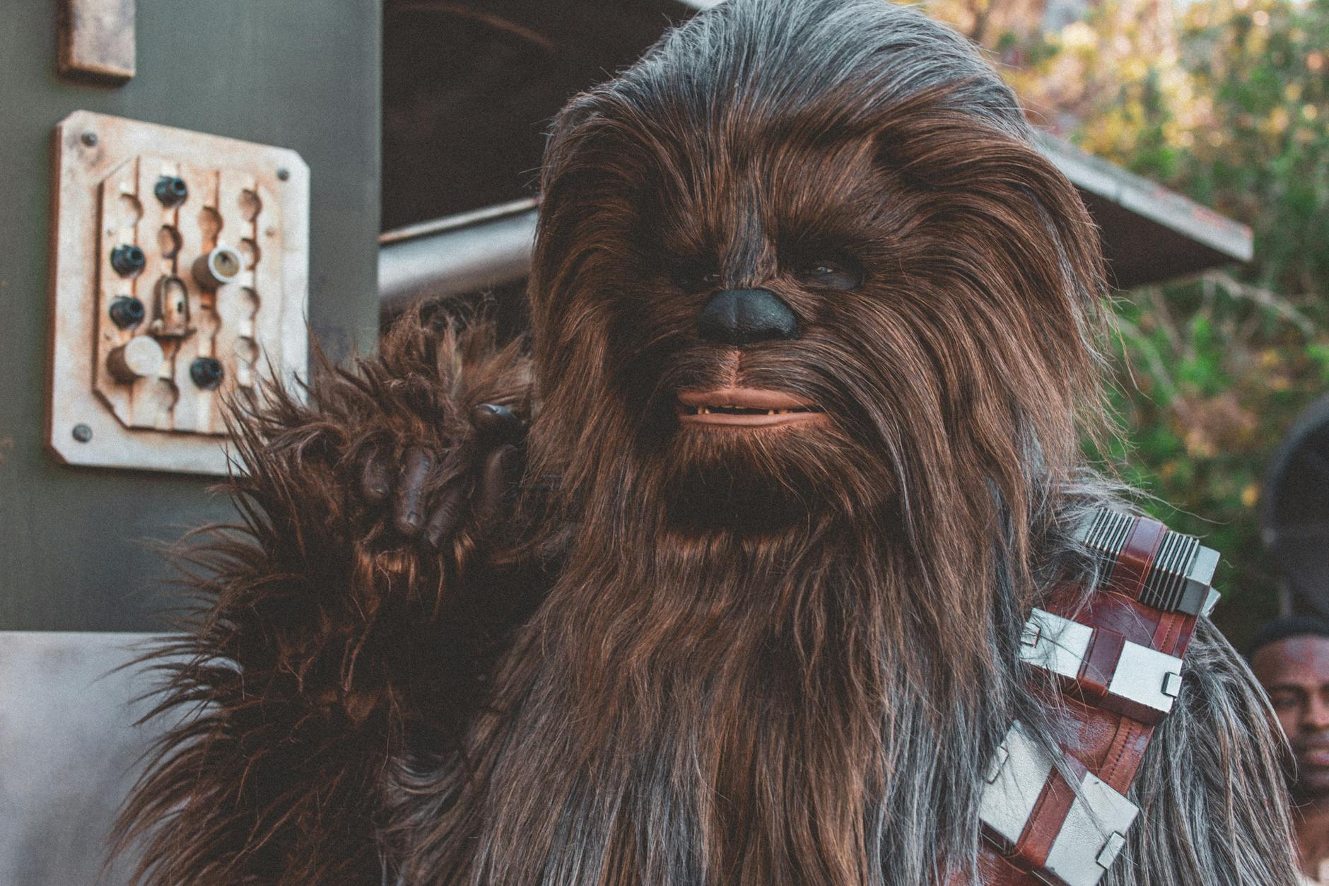Realistic Chewbacca costume character at a science fiction event, showcasing detailed craftsmanship.