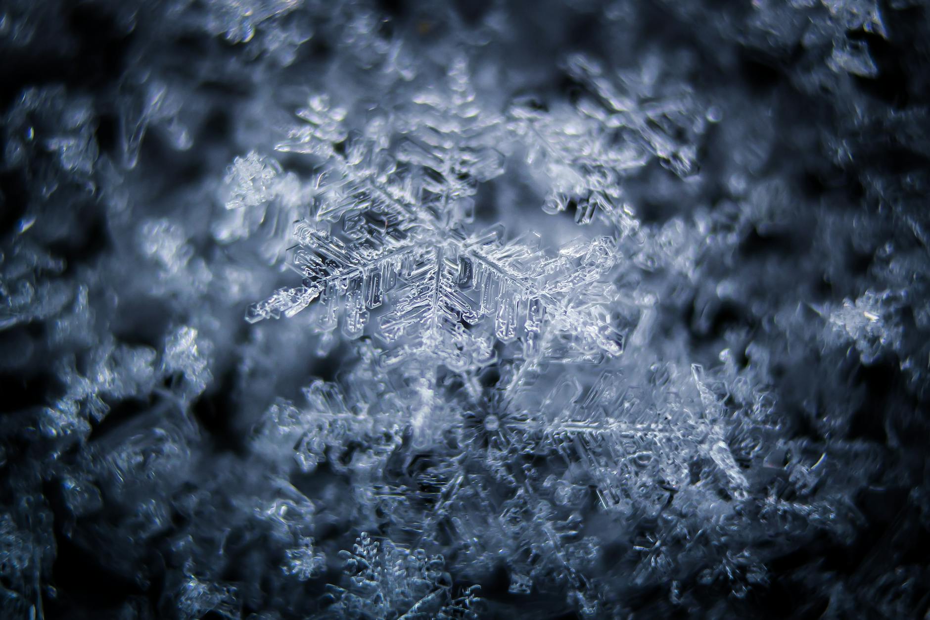 Macro photograph of detailed snowflake structures showcasing unique frost formations.
