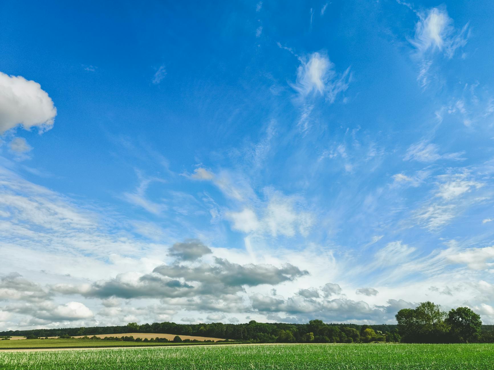 Bright sunny day over a lush green field under a vibrant expansive sky.