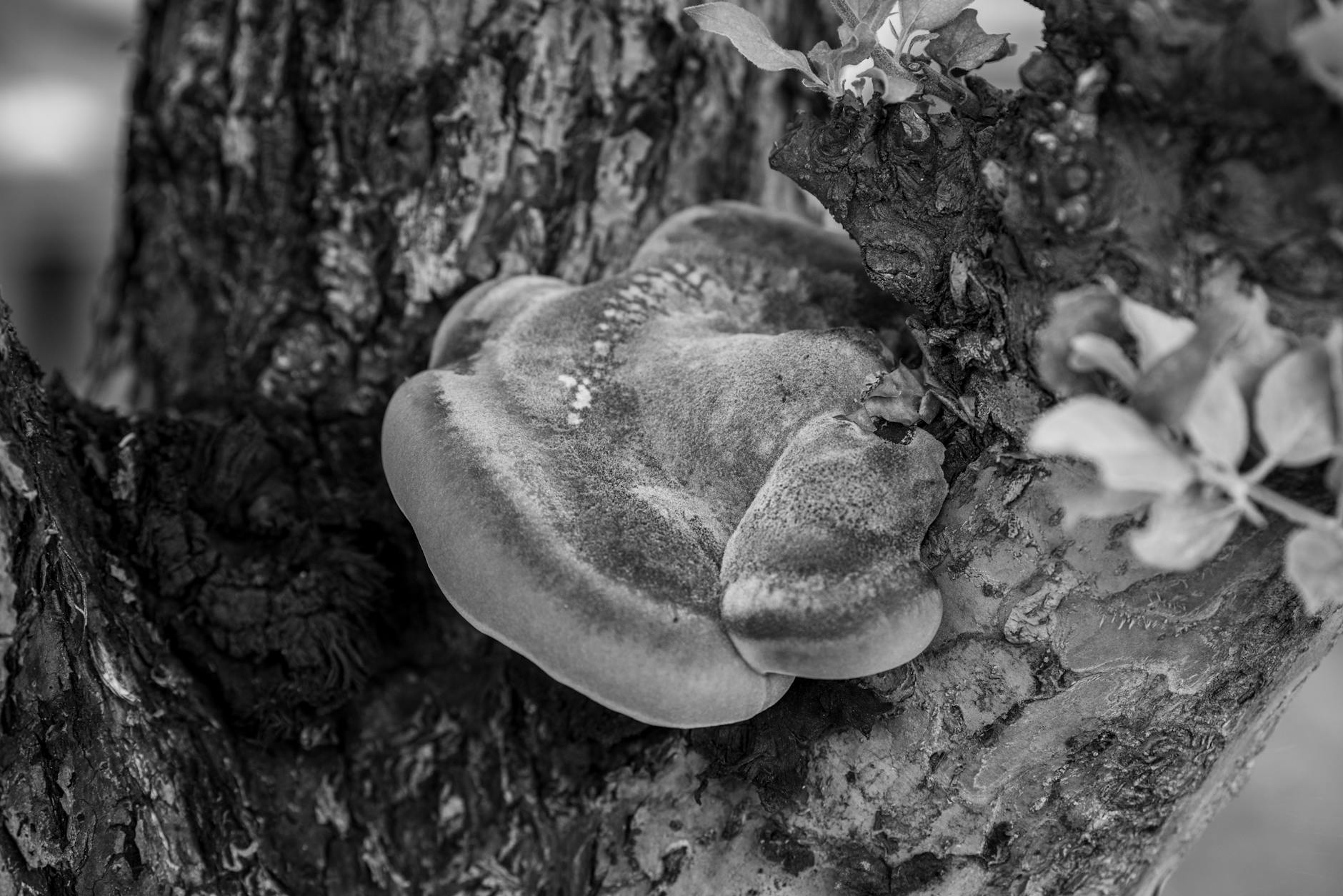 How to Create Highly Engaging YouTube Content: A Step-by-Step Guide for Growth