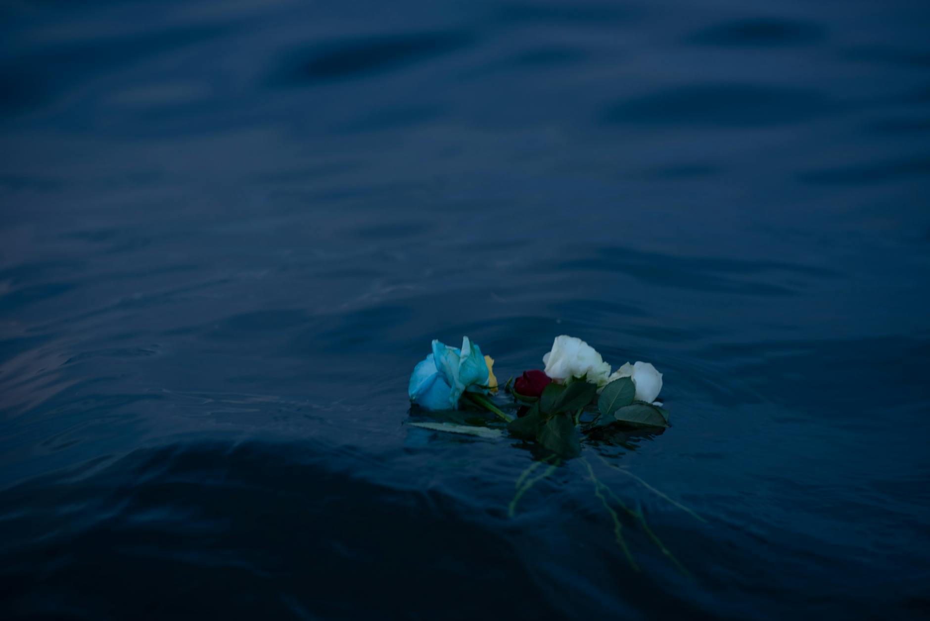 A haunting image of a floral bouquet drifting on dark ocean waters in Salvador, Brazil.
