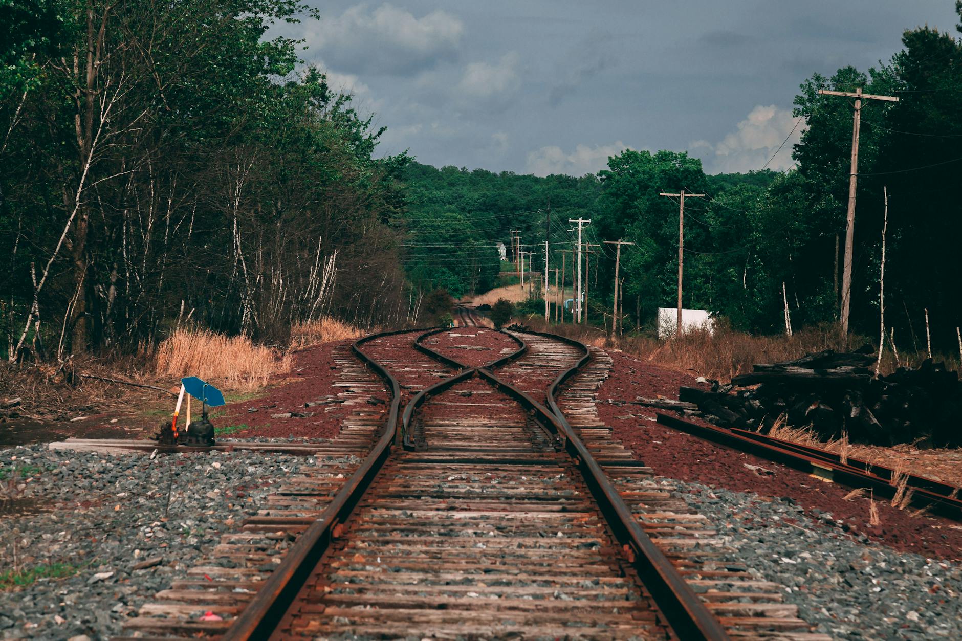 Curved railway tracks surrounded by green forest under a cloudy sky, showcasing transportation infrastructure.