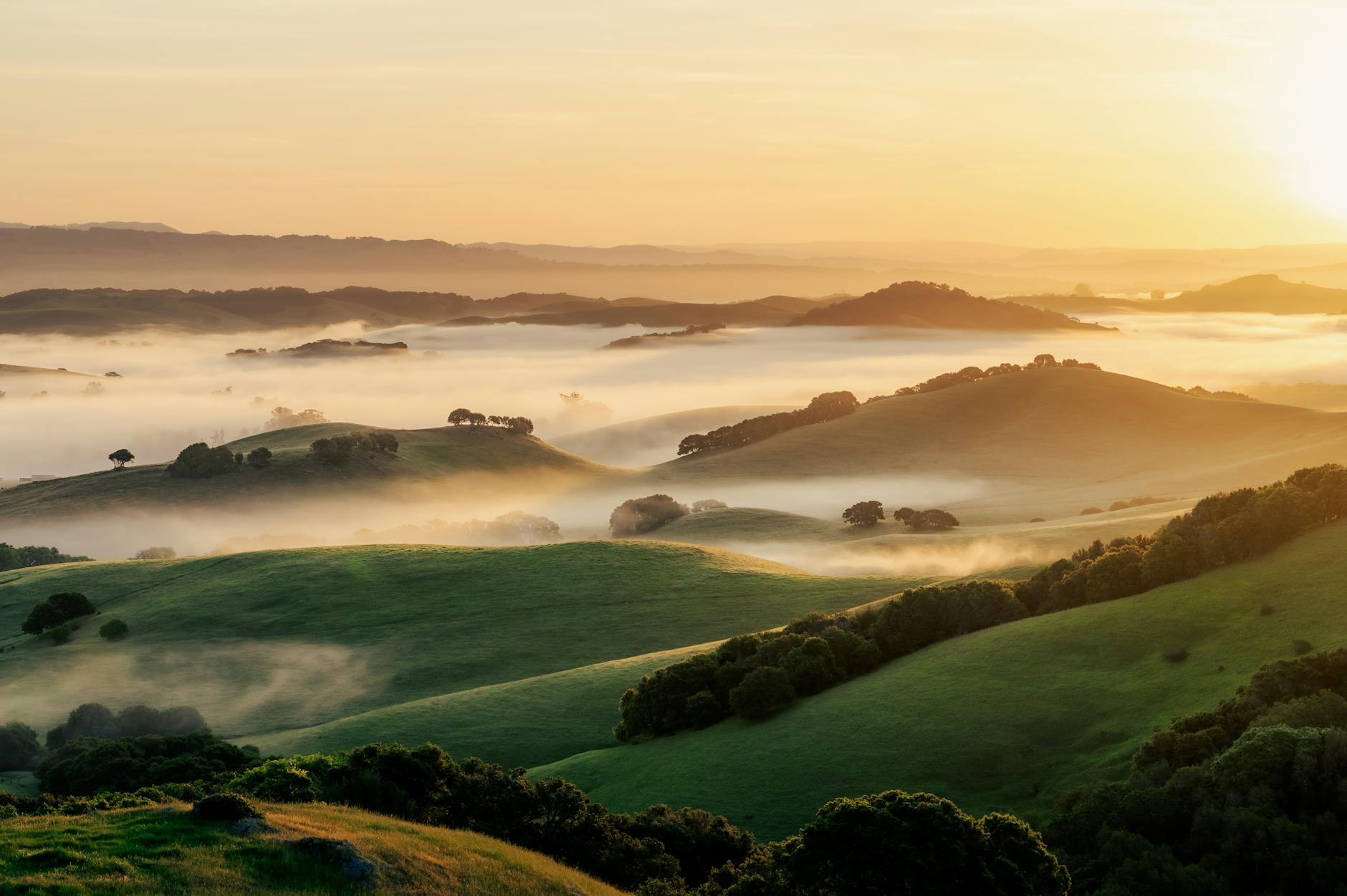 Peaceful rolling hills and fog at sunrise, capturing the serene beauty of nature.