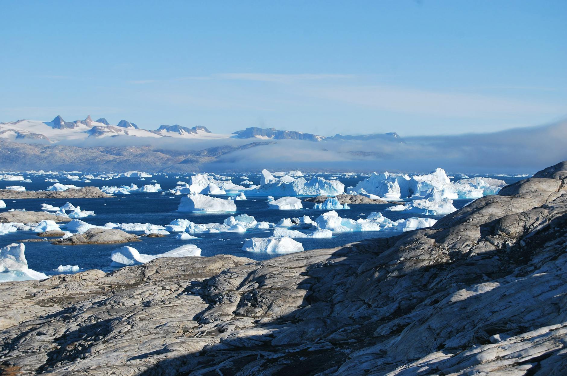 Breathtaking view of icebergs in Tiniteqilaaq, Greenland's fjord, under a clear blue sky.