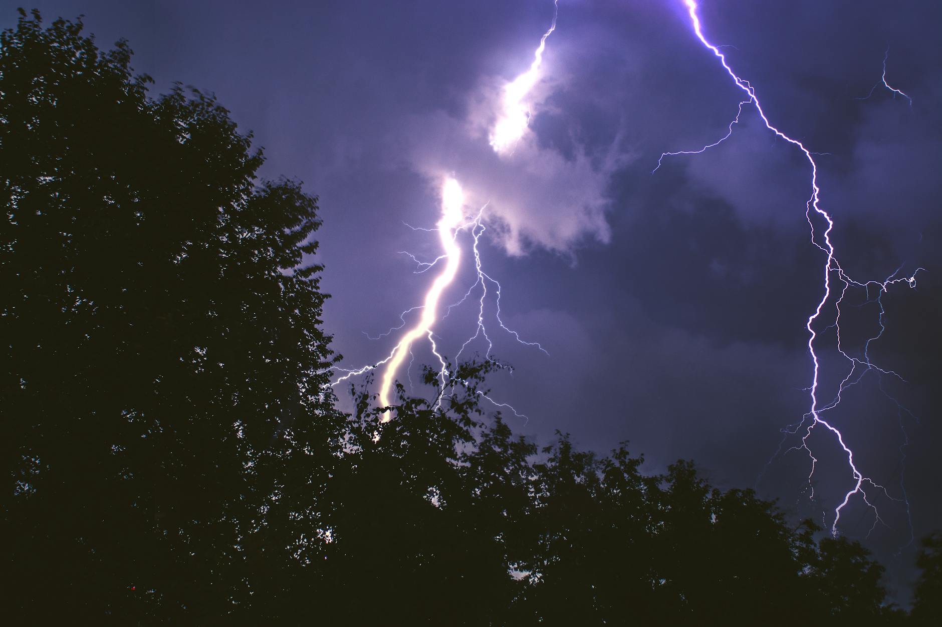 Capture of a powerful lightning storm illuminating the night sky, with silhouettes of trees.
