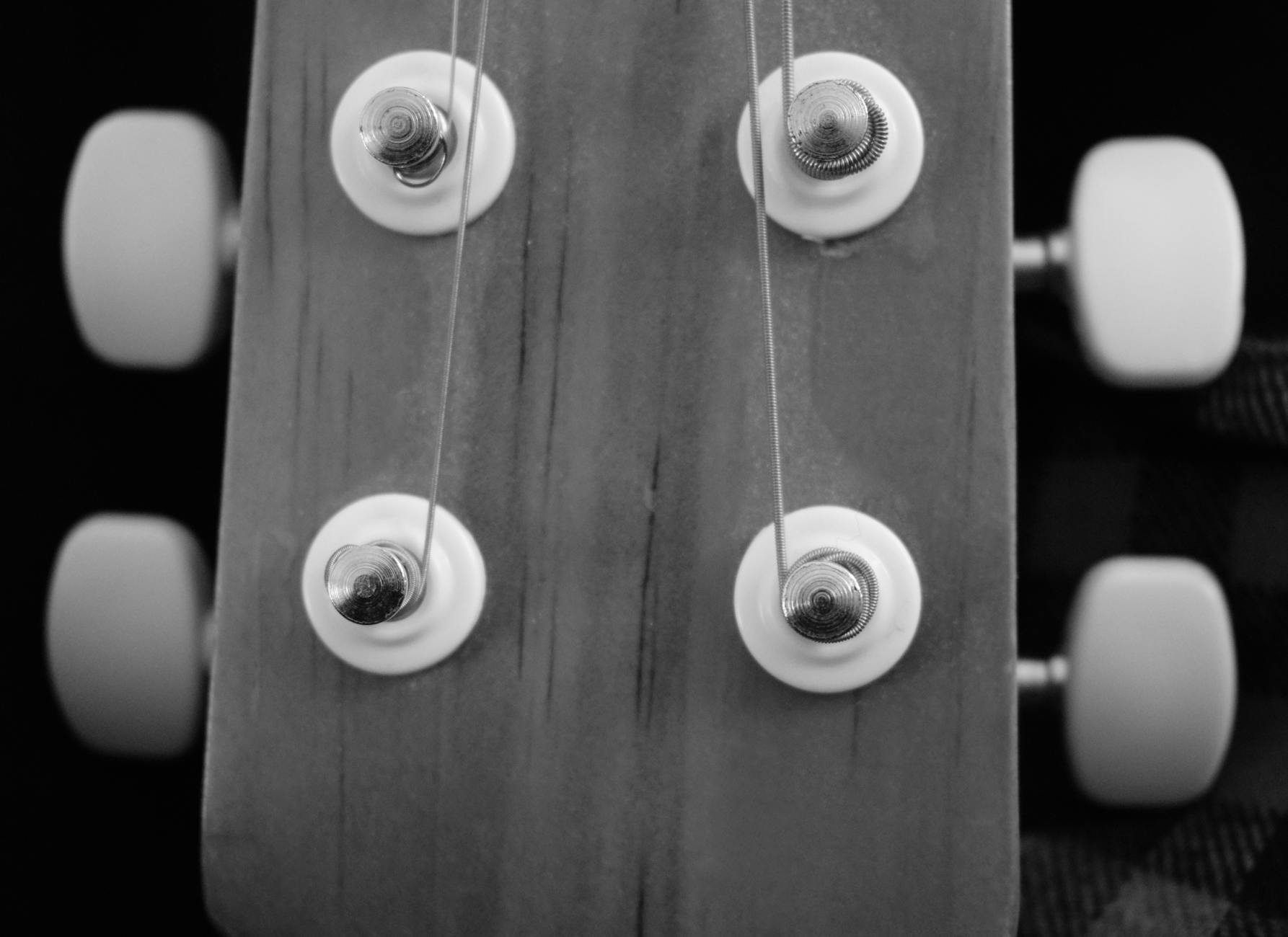 Monochrome close-up of a guitar headstock highlighting tuning pegs.