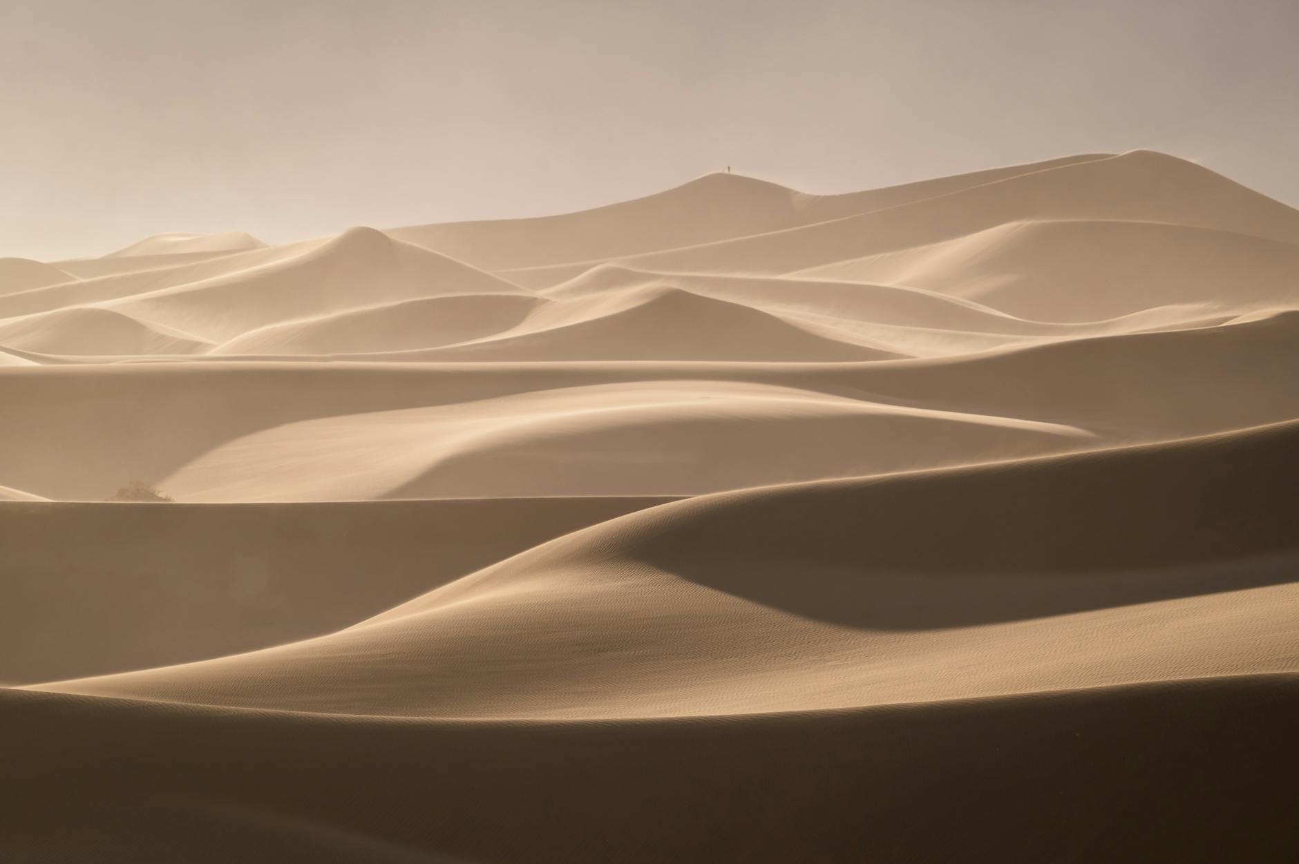 Sweeping sand dunes illuminated by golden light, capturing nature's serene beauty.