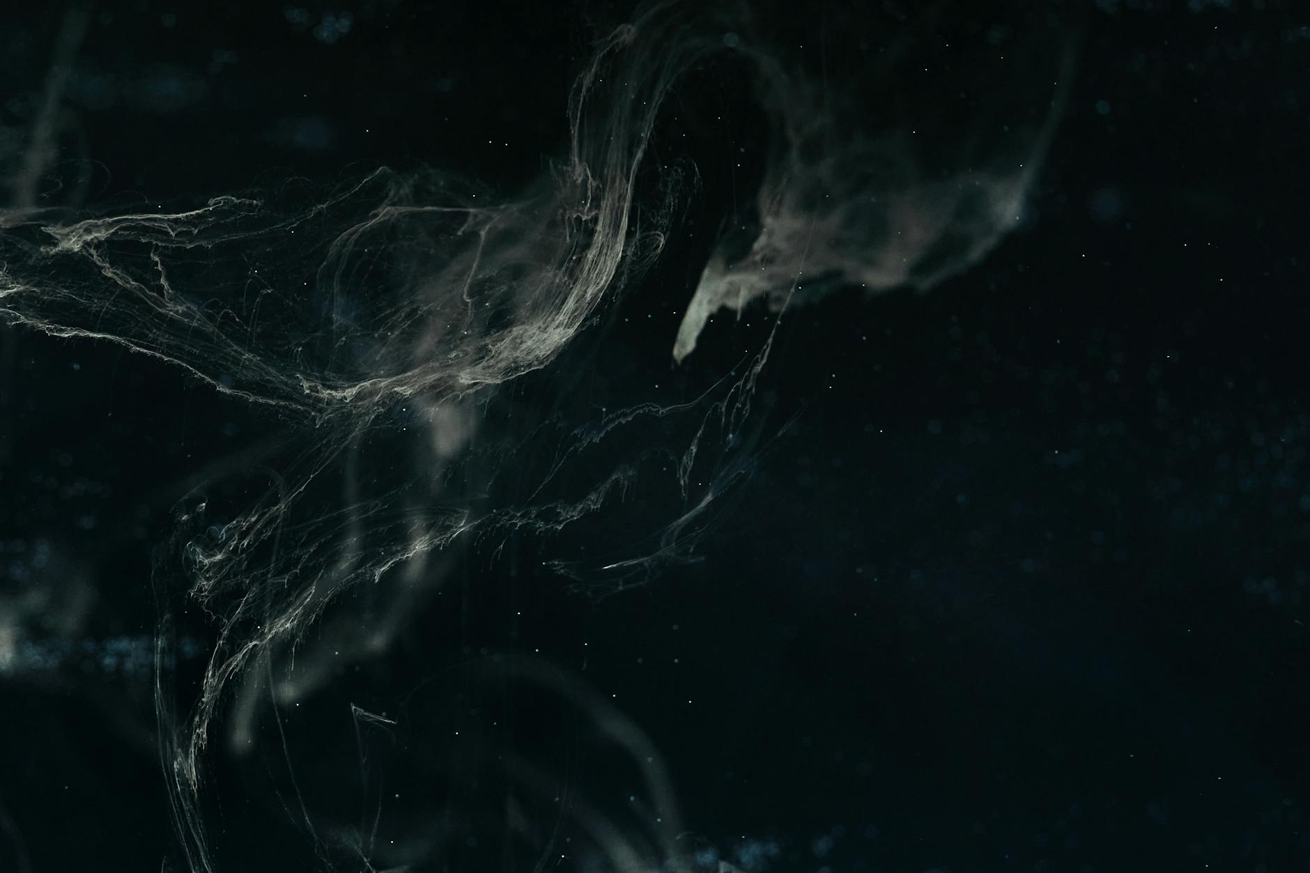 Abstract dark nebula image with swirling patterns and ethereal textures creating a cosmic feel.