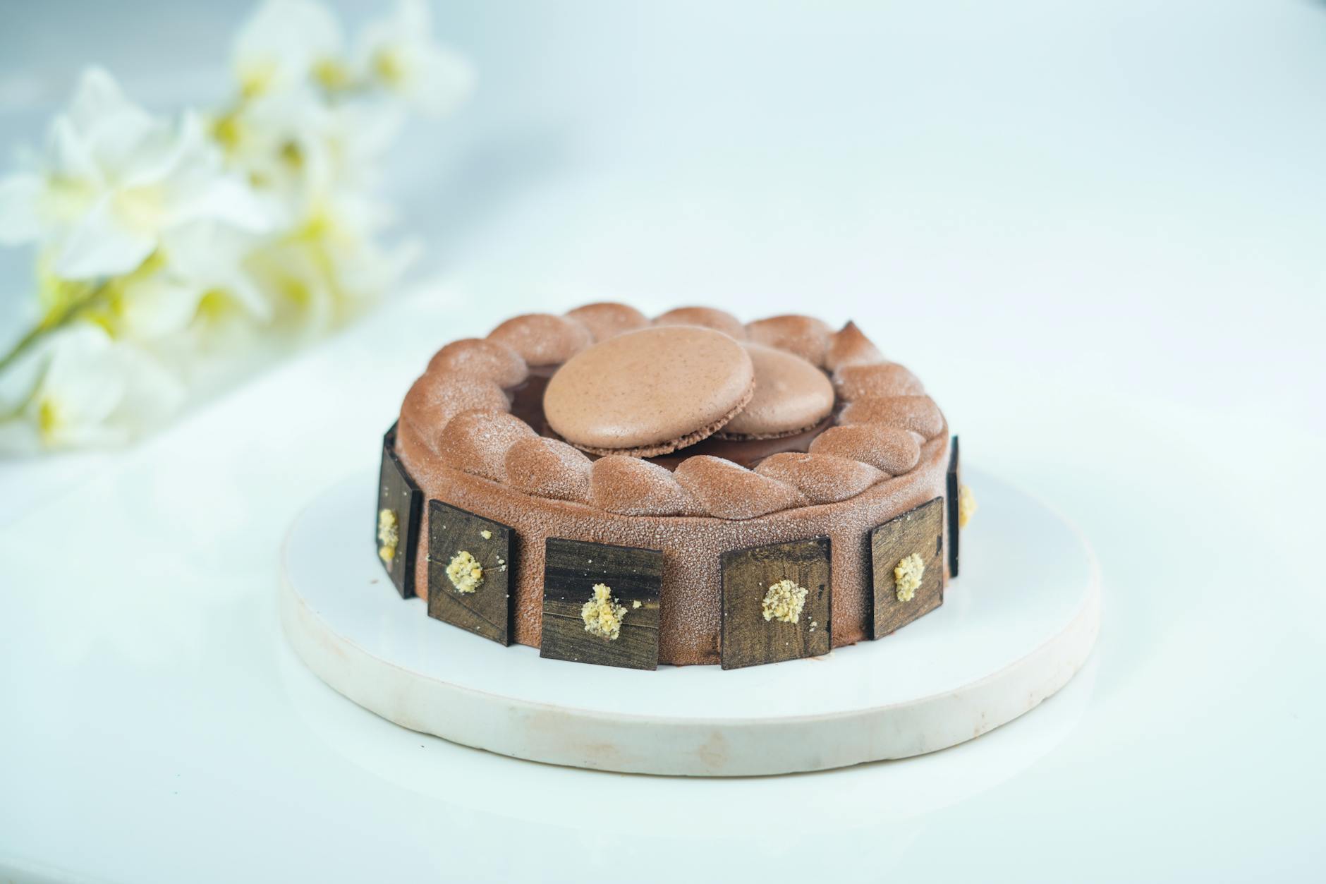Delicious chocolate cake topped with macarons on a decorative plate, perfect for dessert lovers.
