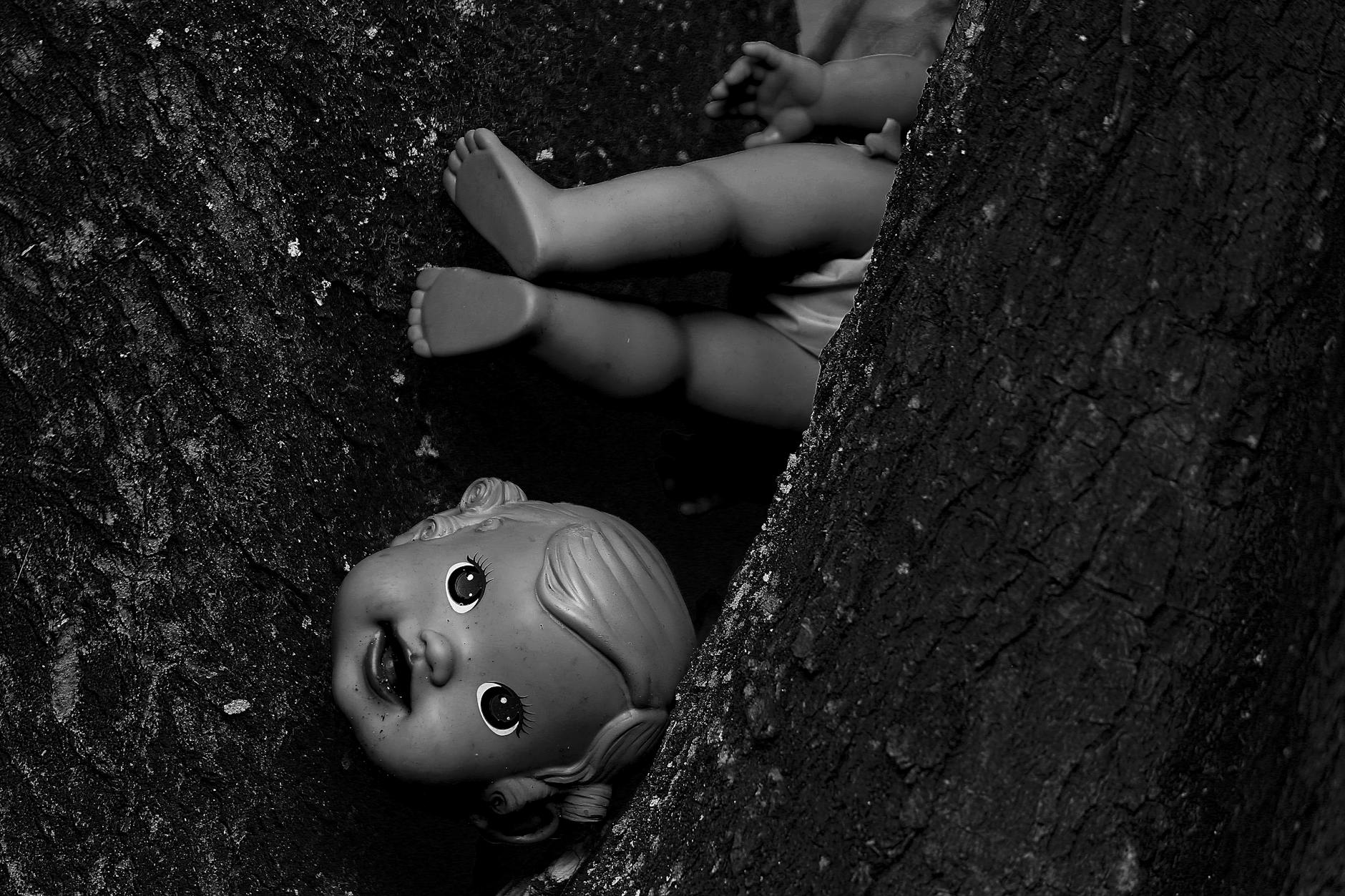 A creepy black and white image featuring a dismantled doll lodged in a tree trunk.