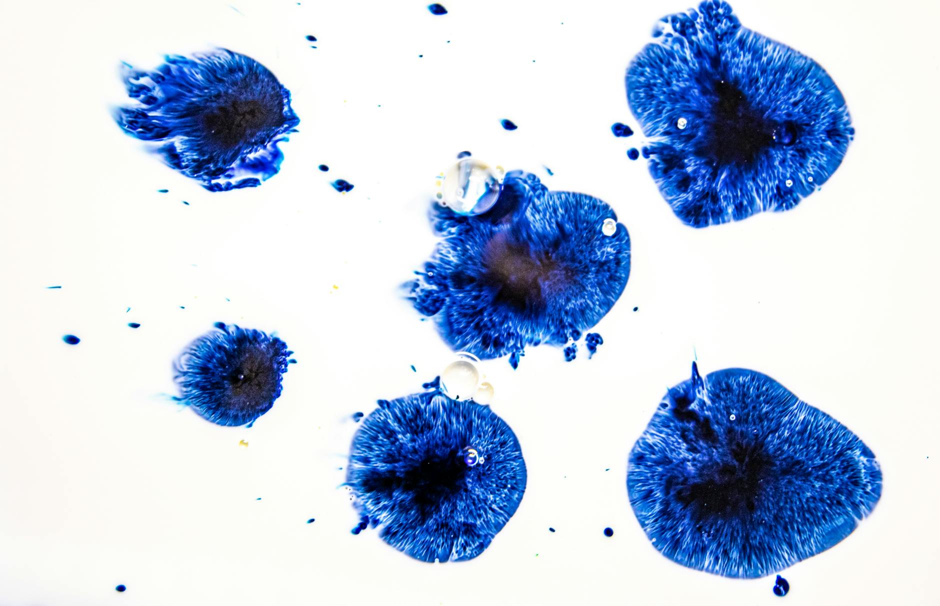 Vivid blue ink splatter creates an abstract design on a white surface, expressing creativity and modern art.